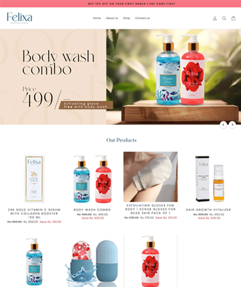 Best Web Development Company Delhi